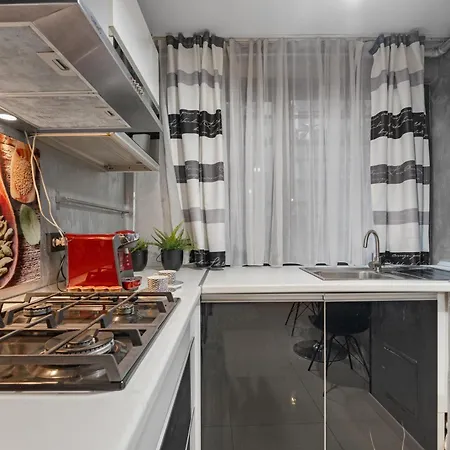 Monochrome 1br Near Cismigiu Park * 布加勒斯特